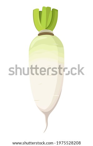 White Daikon radish with green leaf isolated on white background. Icon vector illustration. Royalty-Free Stock Photo #1975528208