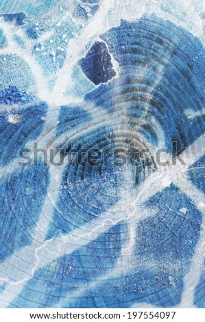 Abstract wood texture in blue monochrome