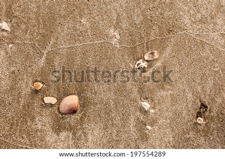 Sandy beach for background, Top view