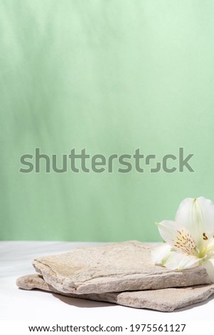 Background for cosmetic products of natural colors.