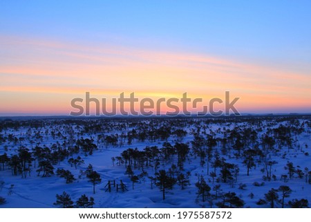 Beautiful winter sunrise in the swamp Royalty-Free Stock Photo #1975587572