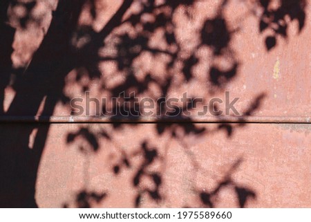 Tree leaves shadow on old rusty metal fence. Abstract background.