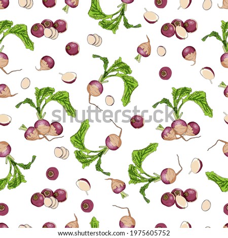 Seamless background of purple top white globe turnips. Whole, half, and sliced turnip. Turnip with tops. Organic and healthy, vegetarian vegetables. Vector illustration isolated on white background. Royalty-Free Stock Photo #1975605752