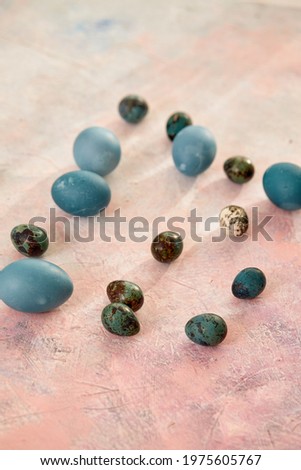 Decor colorful Easter quail eggs standing in rose texture background. Top view with copy space.