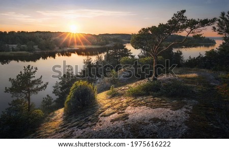 Beautiful sunset rays of sun with clean nordic nature, pine tree on rocks in North Europe, Baltic sea, gulf of Finland Royalty-Free Stock Photo #1975616222