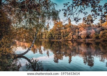 View of the lake with autumn yellow and green trees and blue sky, natural seasonal background