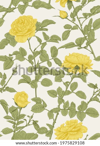 Summer vertical print with yellow roses. Floral vector illustration for wrapping paper, textile, wallpaper. Vintage seamless pattern. Green and yellow background.