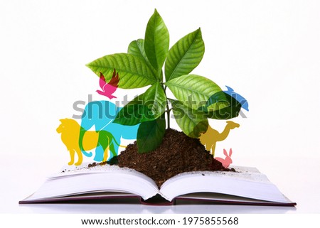 Biological Diversity concept. Biodiversity is a measure of variation at the genetic, species, and ecosystem level. Royalty-Free Stock Photo #1975855568