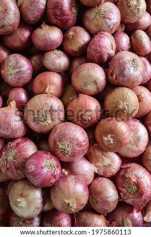 Onion High Res Stock Images

