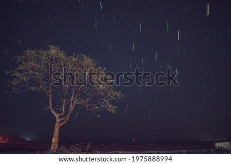 Starry Summer Nights in Central India