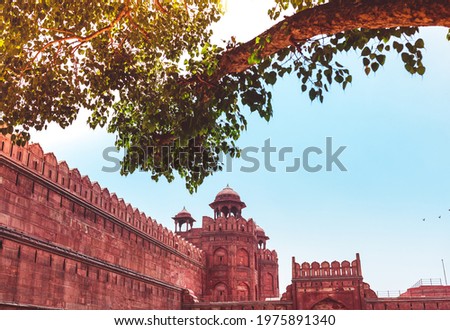 A unique view of Red fort Delhi through an old tree on a sunny summer day with clear skies. A large historical Mughal fortress with no people during hot Indian weather conditions and scorching heat.