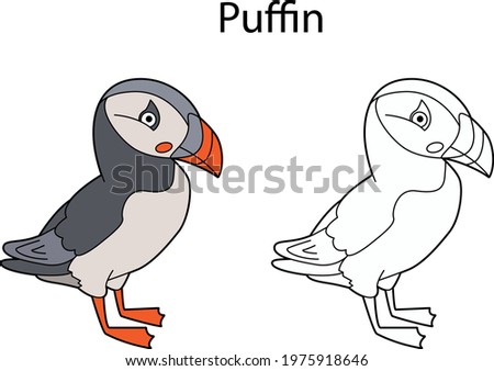 Funny cute bird puffin isolated on white background. Linear, contour, black and white and colored version. Illustration can be used for coloring book and pictures for children