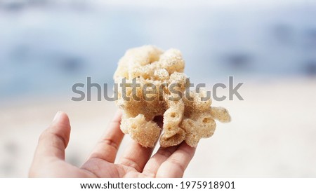 holding exotic coral reefs on the beach       