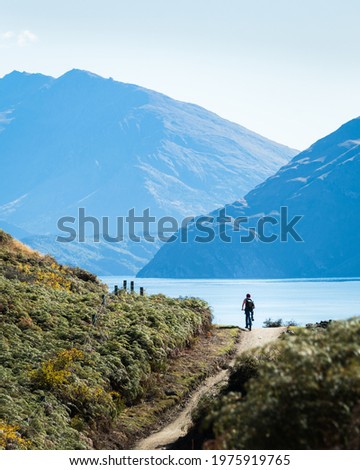 Tourist riding the bike on Glendhu Bay track along Lake Wanaka with mountains in the distance, South Island. Vertical format. Royalty-Free Stock Photo #1975919765