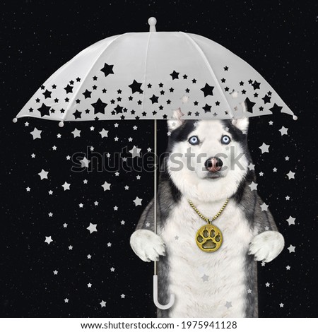 A dog husky under a white umbrella with shooting stars. Black background.
