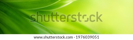 Nature of green leaf in garden at summer. Natural green leaves plants using as spring background cover page greenery environment ecology wallpaper Royalty-Free Stock Photo #1976039051