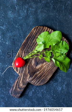 Fresh garden radish with leafs from organic farm on dark background. Top view with copy space