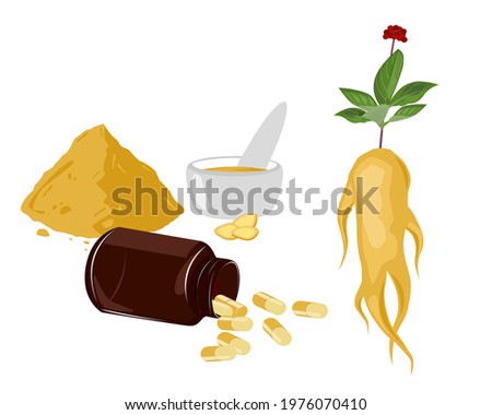 Ginseng root with herbal powder capsule isolated on white background. Icon vector illustration.