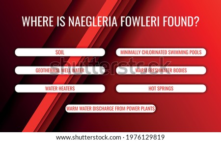 Where is Naegleria fowleri found. Vector illustration for medical journal or brochure.