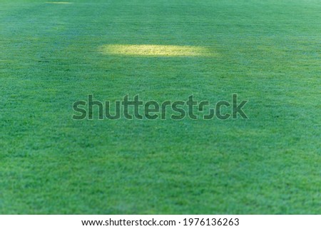 Texure of green grass field lawn with one lighting sign at the soccer stadium outdoors.Selective focus.Copy space.