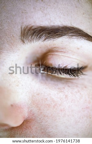 Woman's Face With Falling White Seeds From Dandelions, Close-up eyelash.