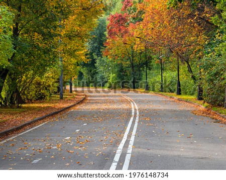 Empty autumn road with trees in a row on the edges. The Sparrow hills. Moscow.