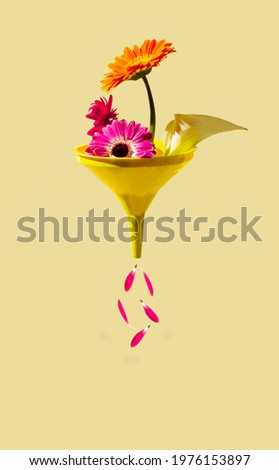 Various spring flowers and petals fall into yellow funnel on beige background. Creative summer concept. Abstract idea.