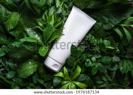 Cosmetic skin care product (body lotion, hair shampoo, face creme) on green leaves as background, top view. Natural eco beauty and organic skin care concept. Royalty-Free Stock Photo #1976187134