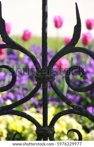 a black fence with fowers and grass in the background