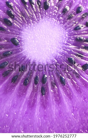 Surreal Pop Art Style Kiwi Fruit Cross Section in Purple Color