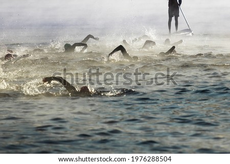 Silhouette of swimmers in a race