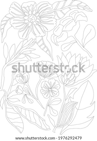 friendly Flower composition. Floral Line art illustration made in a digital medium