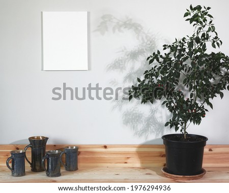 Blank canvas on wall in room with chili plant on wooden shelf and ceramic pottery. 