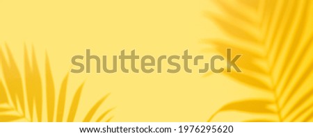 Top view of green tropical leaf Monstera shadow on yellow background. Flat lay. Summer concept with palm tree leaf, copyspace