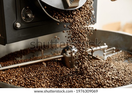Young specialist worker is roasting coffee in hangar Royalty-Free Stock Photo #1976309069