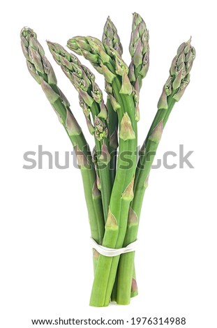 Bunch of asparagus isolated on a white background. Fresh green shoots.