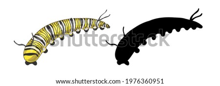 Stock vector illustration. A set of two caterpillars - the caterpillar of the Monarch butterfly, it is yellow with black and white stripes and its black silhouette on a white background.
