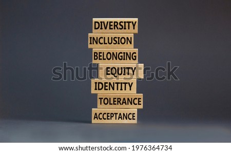 Diversity, inclusion symbol. Diversity belonging inclusion equity identity tolerance acceptance words written on wooden block. Beautiful grey background. Diversity, inclusion and belonging concept. Royalty-Free Stock Photo #1976364734