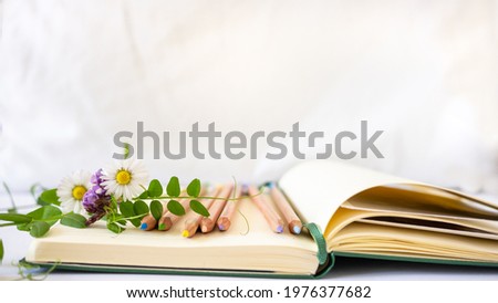 Open sketch notebook or journal with a set of  seven drawing pencils and summer fresh daisy flowers on the page, daisy on one side, against  white background. Text space. Macro, close up.