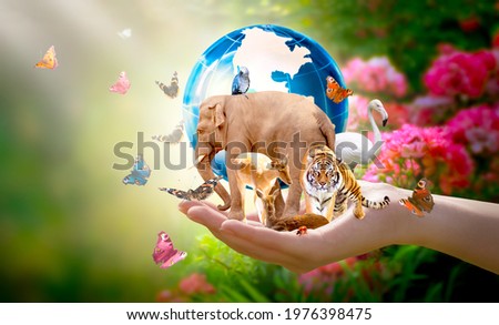 Earth Day or International Day for Biological Diversity concept. Group of animals, butterflies and globe in hand. Saving our planet, protect wildlife nature reserve, protection of endangered species. Royalty-Free Stock Photo #1976398475