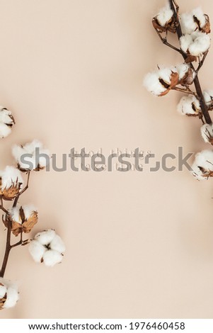 Cotton flower branch on a beige background mockup