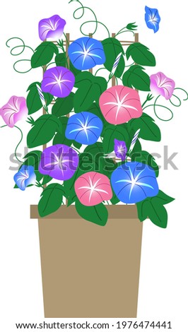 This is an illustration of a morning glory and a pot.