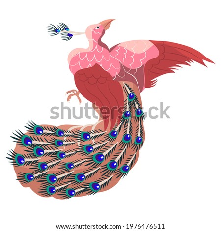 Peacock or firebird or phoenix Isolated on white background. Vector illustration. Bird in Chinese, asian style. Colored feathers, wings, buddhism art, symbol infinite life, religion, beautiful. 