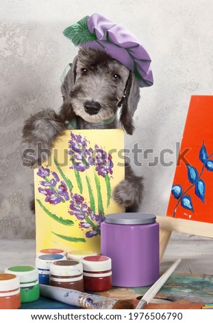 Funny artist two month old  Bedlington puppy in the workshop

