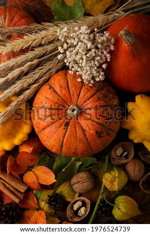 Autumn composition with colorful fresh pumpkins and autumn leaves, Thanksgiving, autumn background, top view