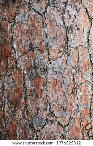 Brown detailed wooden textured background