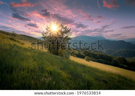 Beautiful summer evening scenery of green Carpathian mountains. Sunlight through the tree branches under a beautiful sunset sky.