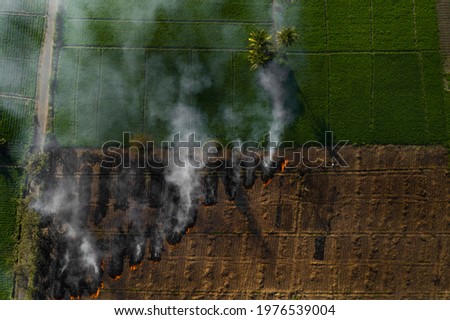 A beautiful aerial view of a lush green grass land and a hot burning land. The field is burnt with fire creating smoke to get ready for next crop farming.