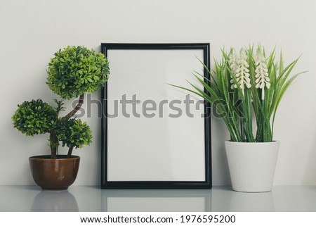 Black  frame  with a various types of succulent plants on a white table.