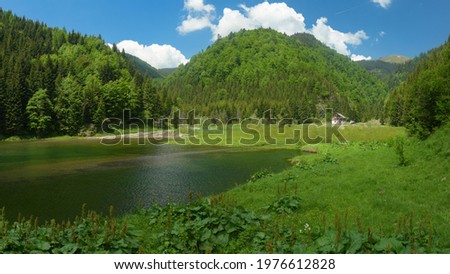 A peaceful and quiet lake in a mountainous area, surrounded by virgin beech and coniferous woods. Summer season, Capatanii Massif, Carpathia, Romania.  Royalty-Free Stock Photo #1976612828